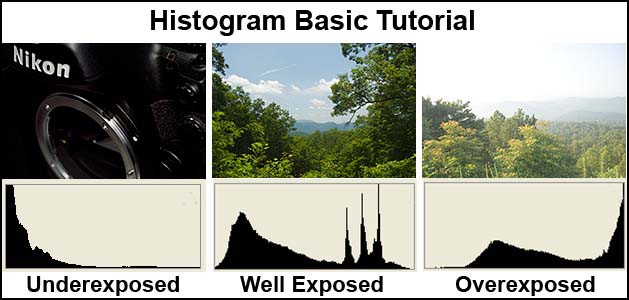Cara membaca histogram dalam foto